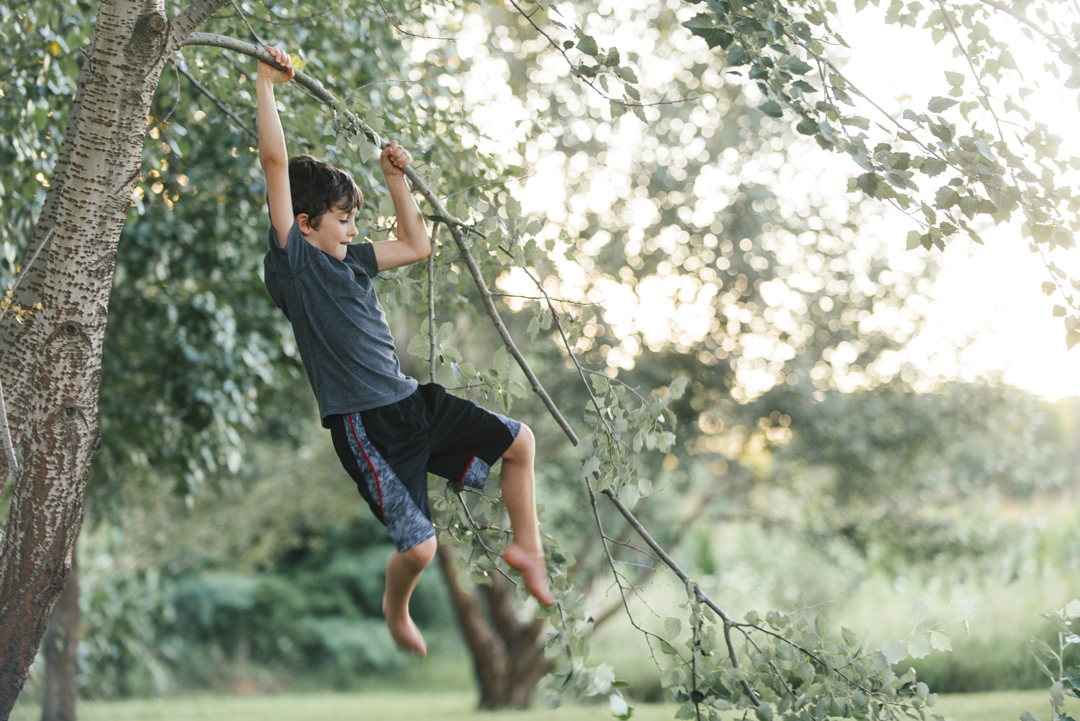 kid hanging from a tree branch